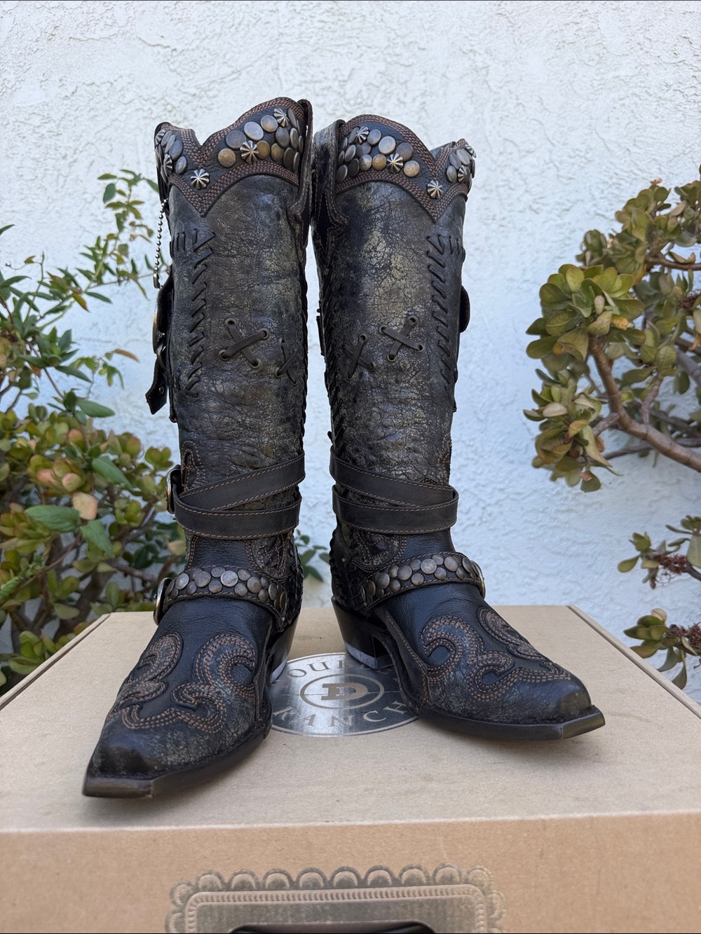 Double D Ranch Dark Brown Studded Western Heeled Boots Size 6